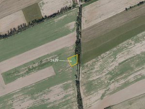Prodej zemědělské půdy 16957 m² Jistebník