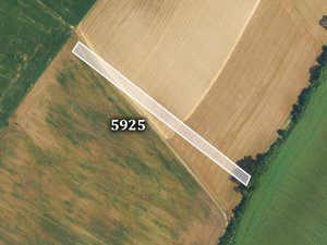 Prodej zemědělské půdy 6955 m² Lovčice