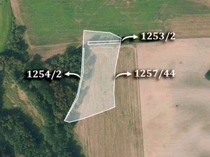 Prodej zemědělské půdy 4958 m² Lázně Bohdaneč