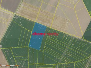 Prodej zemědělské půdy 39414 m² Křelov-Břuchotín