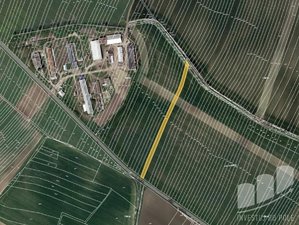 Prodej zemědělské půdy 5060 m² Borkovany
