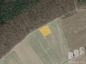 Prodej zemědělské půdy 1684 m² Sýkořice