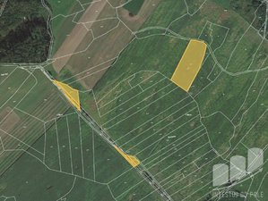 Prodej zemědělské půdy 12273 m² Skořice