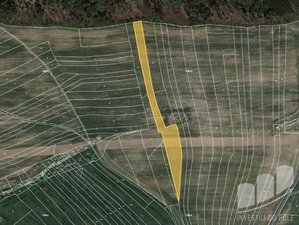 Prodej zemědělské půdy 11598 m² Tehov