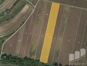 Prodej zemědělské půdy 9947 m² Novosedly