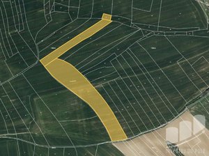 Prodej zemědělské půdy 12038 m² Prusice