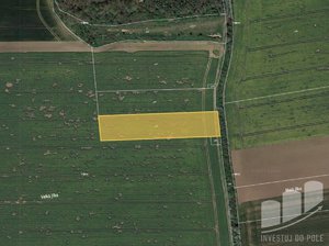 Prodej zemědělské půdy 4980 m² Libodřice