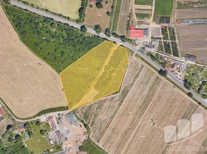 Prodej zemědělské půdy 11881 m² Plzeň