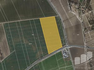 Prodej zemědělské půdy 95079 m² Bučovice