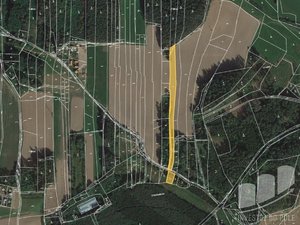 Prodej zemědělské půdy 6175 m² Losiná