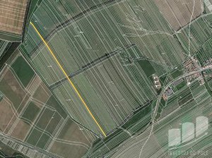 Prodej podílu zemědělské půdy 2778 m² Boršice u Blatnice