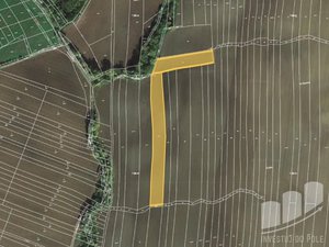 Prodej zemědělské půdy 6609 m² Mutějovice