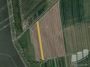Prodej zemědělské půdy 2647 m² Šakvice
