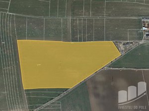 Prodej zemědělské půdy 123603 m² Vraný