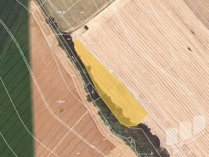 Prodej zemědělské půdy 9419 m² Rapotín