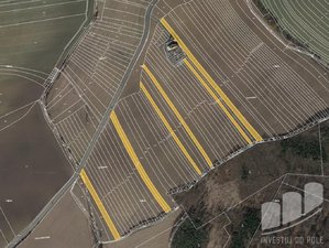 Prodej zemědělské půdy 20175 m² Roštín