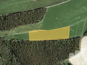 Prodej zemědělské půdy 10903 m² Vítějeves