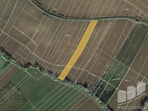 Prodej zemědělské půdy 4859 m² Mutějovice