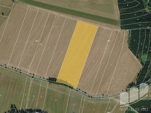 Prodej zemědělské půdy 42627 m² Rodinov