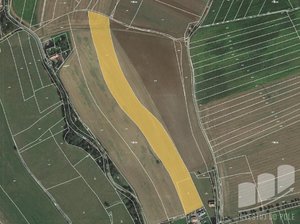 Prodej zemědělské půdy 32325 m² Dolany