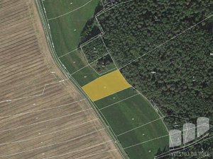 Prodej zemědělské půdy 3138 m² Křenice