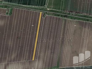 Prodej zemědělské půdy 3823 m² Sokolnice