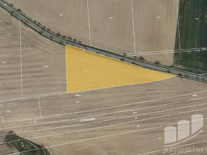 Prodej zemědělské půdy 5256 m² Zvole