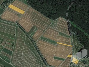 Prodej podílu zemědělské půdy 1096 m² Moravský Písek