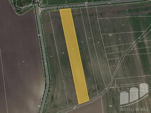 Prodej zemědělské půdy 2558 m² Kněžice