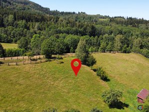 Prodej stavební parcely 4823 m² Olešnice v Orlických horách