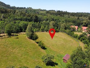 Prodej stavební parcely 2456 m² Olešnice v Orlických horách