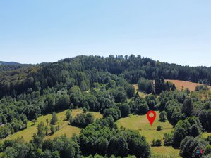 Prodej stavební parcely 3027 m² Olešnice v Orlických horách