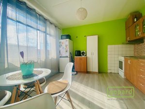Prodej bytu 1+1 42 m² Planá