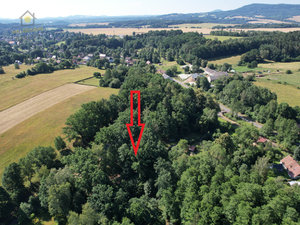 Prodej lesa 1203 m² Horní Libchava