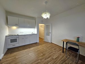 Pronájem bytu 1+1 38 m² Liberec