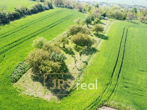 Prodej zemědělské půdy 2000 m² Blučina