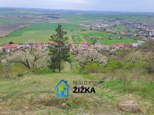 Prodej zahrady 942 m² Viničné Šumice