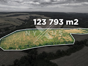 Prodej ostatních pozemků 123793 m² Zbraslavice