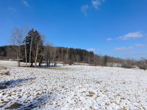Prodej zahrady 3552 m² Strašín