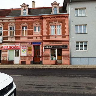 Prodej rodinného domu 600 m² Sokolov, Karla Havlíčka Borovského