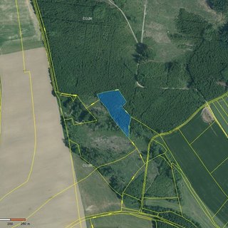 Prodej lesa 8 614 m² Jarošov nad Nežárkou, 