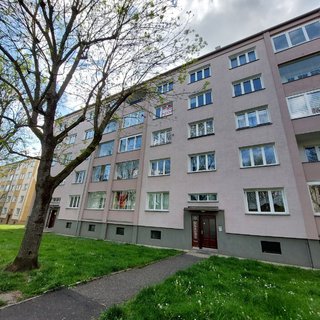 Pronájem bytu 2+1 55 m² Ostrov, Kollárova
