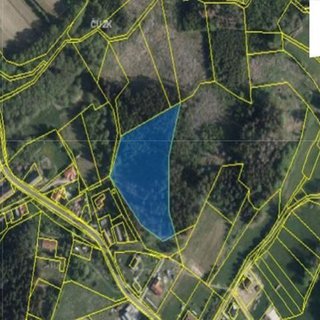 Prodej lesa 10 412 m² Řídelov