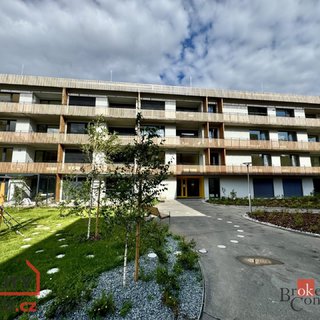 Pronájem bytu 1+kk a garsoniéry 43 m² Plzeň, Kartónová