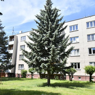 Prodej bytu 3+1 62 m² Hradec Králové, Kpt. Fechtnera