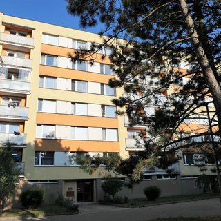 Pronájem bytu 1+1 36 m² Hradec Králové, Pod Zámečkem
