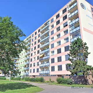 Pronájem bytu 1+1 37 m² Hradec Králové, Štefánikova