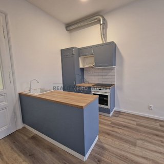 Pronájem bytu 1+kk a garzoniéry 43 m² Brno, Antonínská
