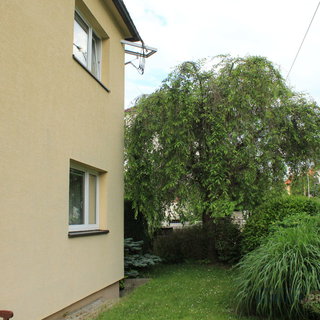 Prodej ostatního komerčního prostoru 161 m² Zlín, Svat. Čecha