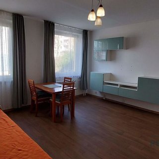 Pronájem bytu 1+kk a garsoniéry 32 m² Ústí nad Labem, Neštěmická